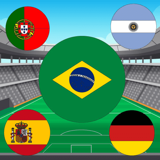 game World Cup Flag Match